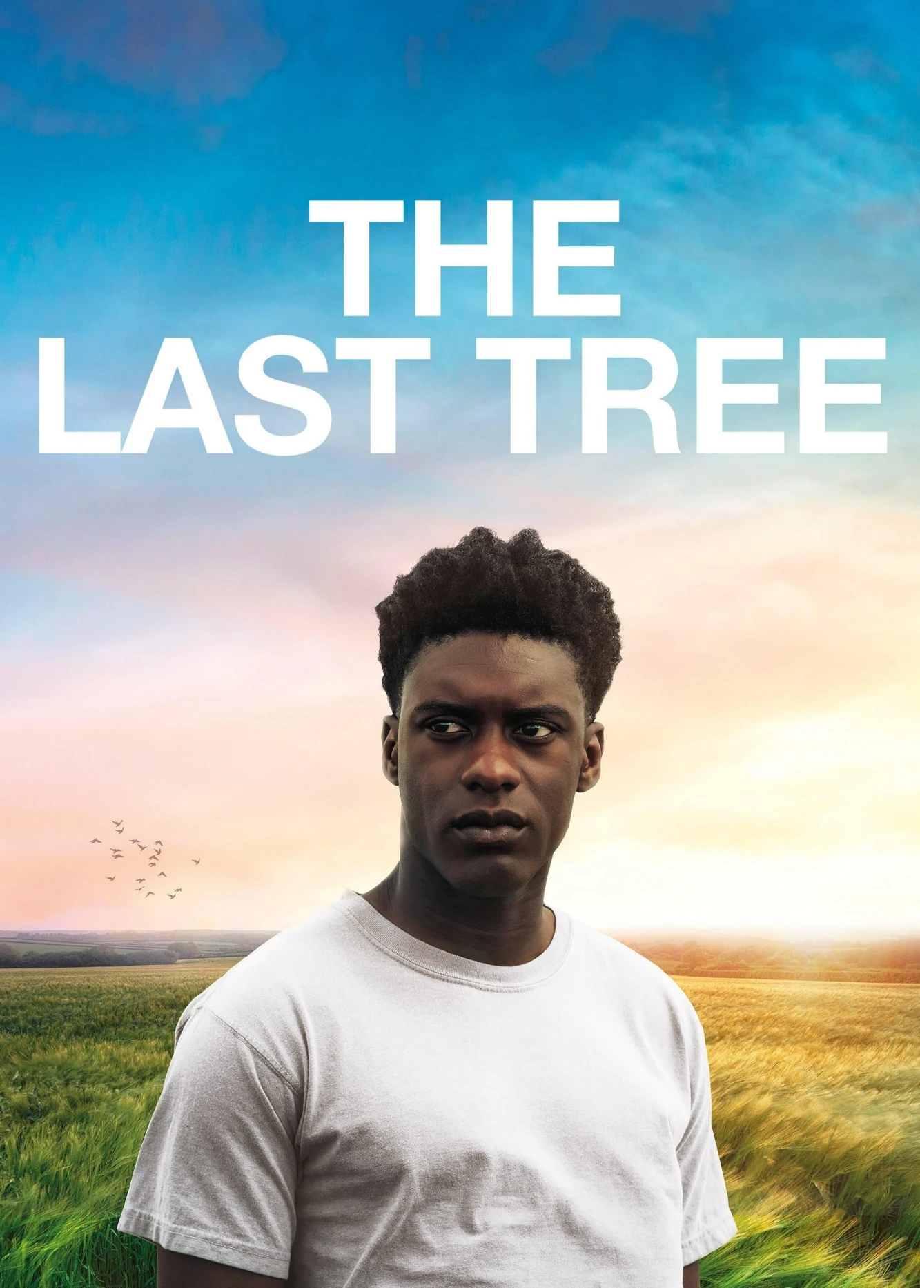 The Last Tree | The Last Tree (2019)